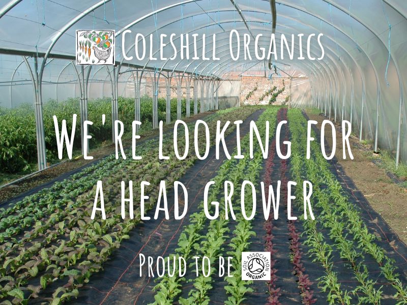We're seeking a full-time Head Grower for our 7-acre organic walled garden, with 2-bed cottage accommodation and an opportunity for a share-growing arrangement for the right person.👍
Please share!
Full details below👇
coleshillorganics.co.uk/newsletter/wer…
