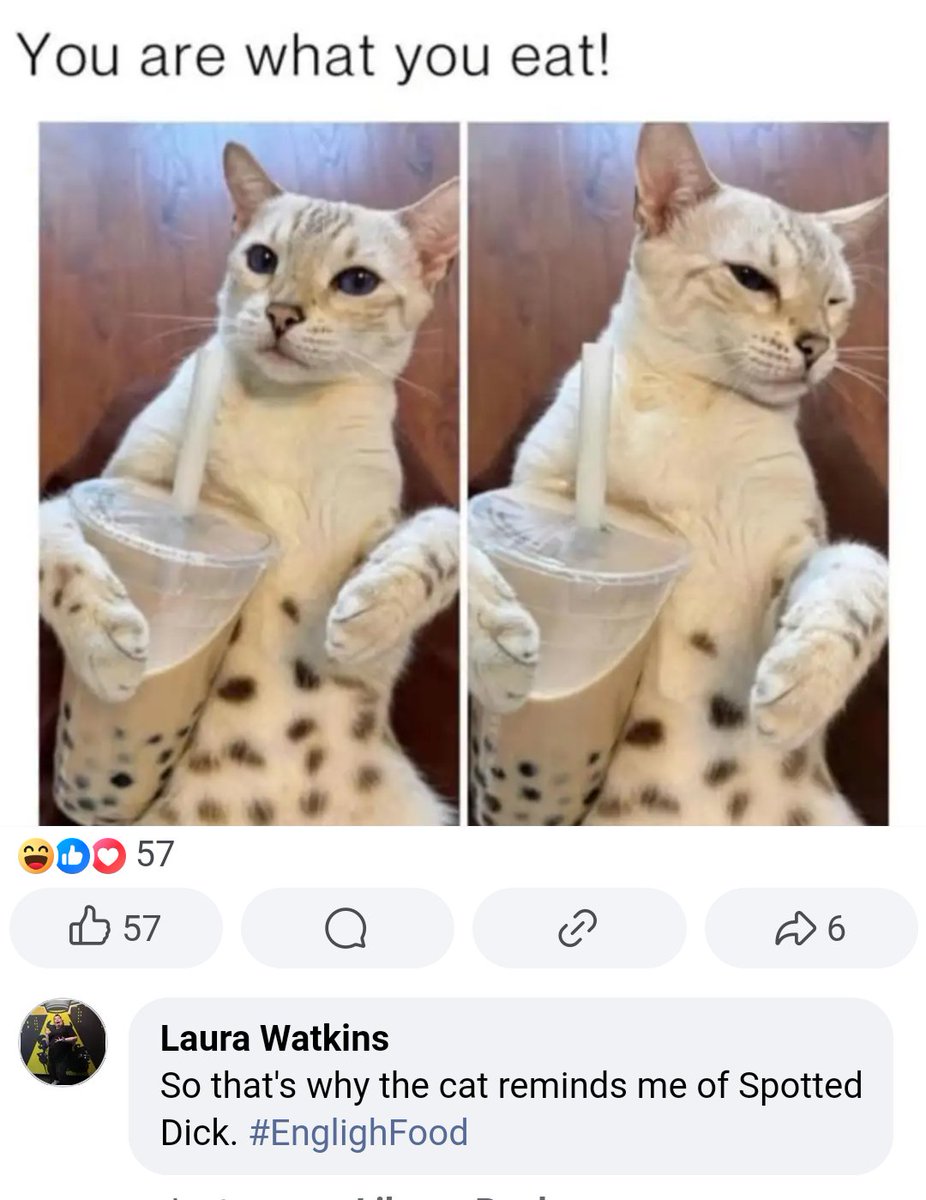 BigSugar3's tweet photo. #joke #cats https://t.co/mEvavY3hF2