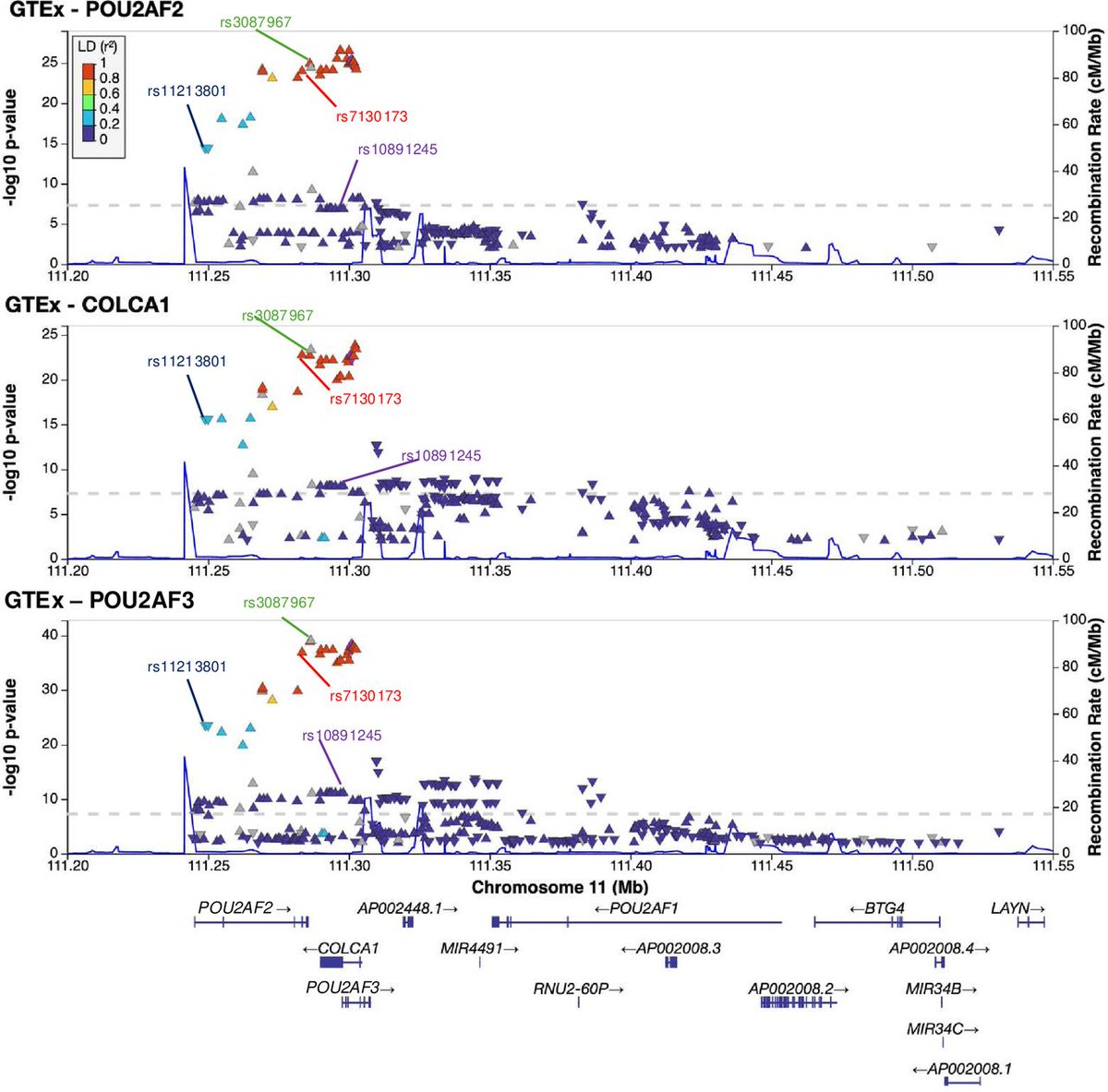 Gut Journal tweet media