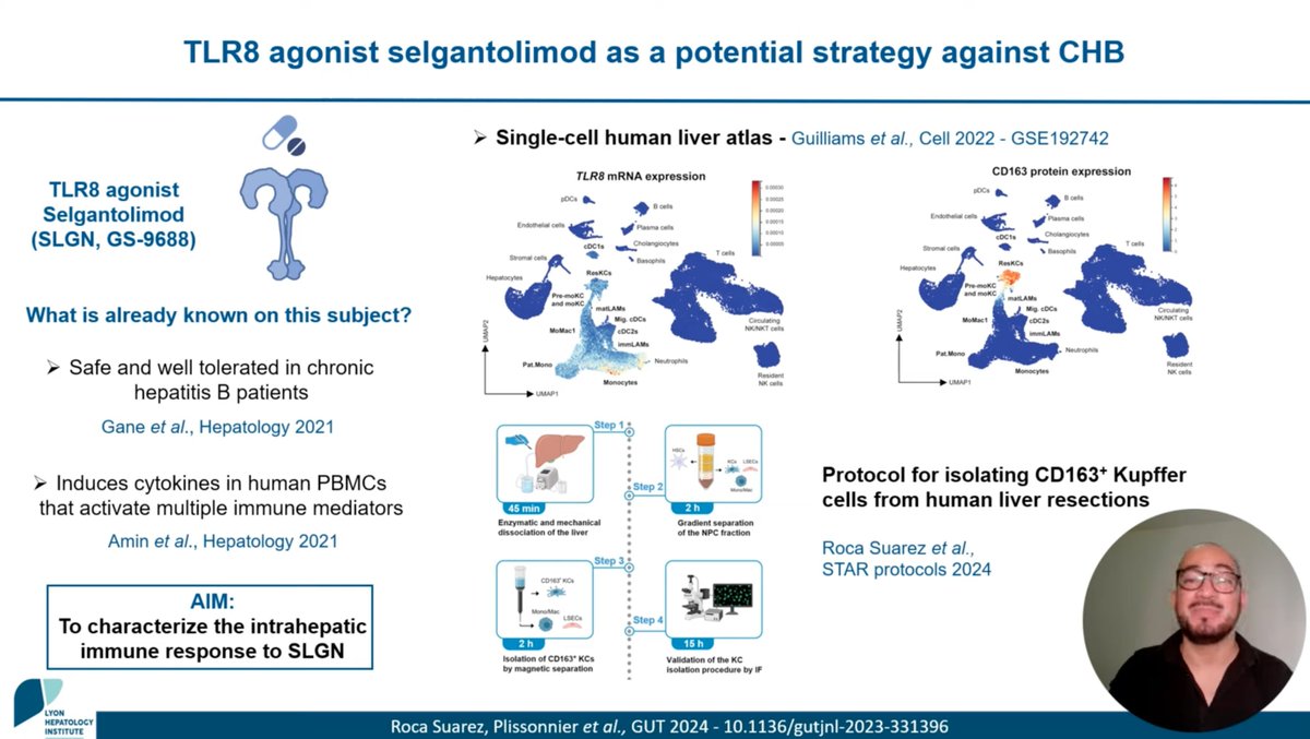 Gut_BMJ's tweet photo. Watch the latest #GUTVideo from the paper by Roca Suarez @andresroca et al entitled

"TLR8 agonist selgantolimod regulates Kupffer cell differentiation status and impairs HBV entry into hepatocytes via an IL-6-dependent mechanism" via

https://t.co/7gJeGSNcSf

Paper via: https://t.co/CX4Lra7cc2

@ipcureb @IHU_HepatoLyon @TestoniResearch @FabienZoulim @MPlissonnier #HBV