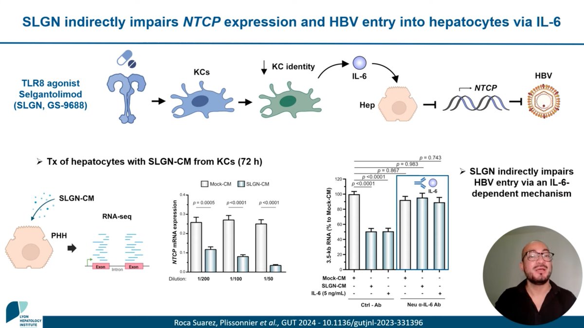Gut_BMJ's tweet photo. Watch the latest #GUTVideo from the paper by Roca Suarez @andresroca et al entitled

"TLR8 agonist selgantolimod regulates Kupffer cell differentiation status and impairs HBV entry into hepatocytes via an IL-6-dependent mechanism" via

https://t.co/7gJeGSNcSf

Paper via: https://t.co/CX4Lra7cc2

@ipcureb @IHU_HepatoLyon @TestoniResearch @FabienZoulim @MPlissonnier #HBV