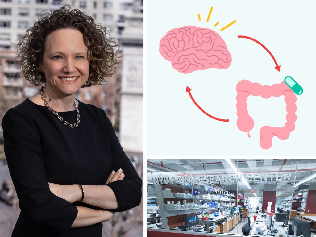 NYU Dentistry (@nyudental) on Twitter photo (1/3) Dr. Kara Margolis, director of the <a href="/NYUPainResearch/">NYU Pain Research Center</a> and associate professor of molecular pathobiology, co-authored two important studies published this week â one in Gastroenterology and one in Molecular Psychiatry â showing the connection between serotonin in the gut, (1/3) Dr. Kara Margolis, director of the <a href="/NYUPainResearch/">NYU Pain Research Center</a> and associate professor of molecular pathobiology, co-authored two important studies published this week â one in Gastroenterology and one in Molecular Psychiatry â showing the connection between serotonin in the gut,