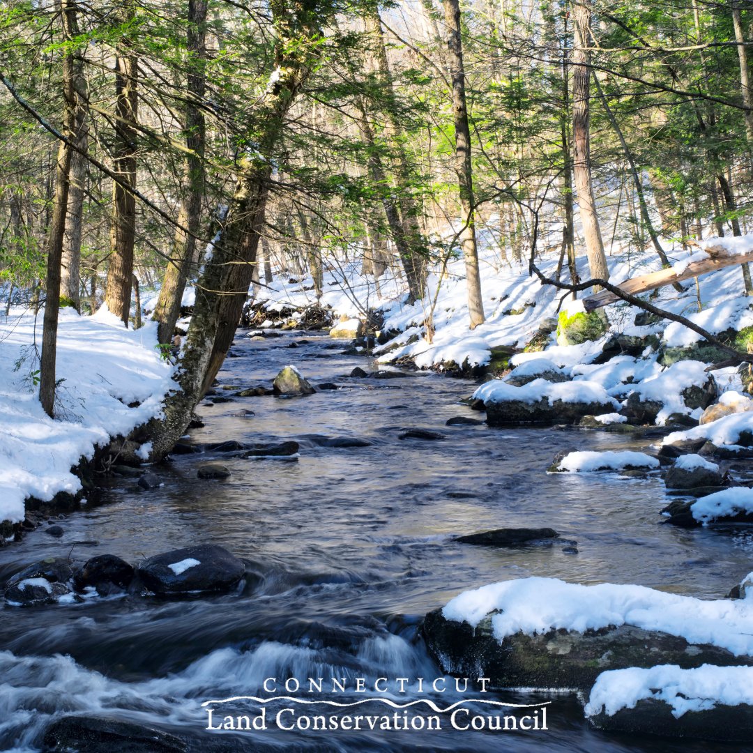 We’re committed to advocating for maximum funding levels and efficient implementation of these programs year-round. Together, we can protect Connecticut’s landscapes for future generations! Learn more about how you can support conservation in Ct,bit.ly/48wqLnr