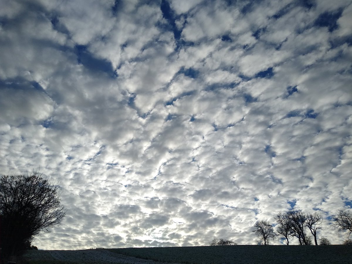 AndrewJohnster's tweet photo. Noon walk:
Clouds were marshmallows! 🥰
#OneWalkADay https://t.co/ie9eta0RmF