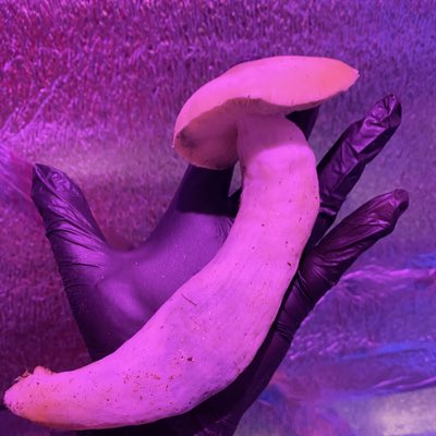 eu_gabri_ela's tweet photo. a mae tem orgulho do trabaio dela tah #NovaFotoDePerfil https://t.co/akWKK4xXkN