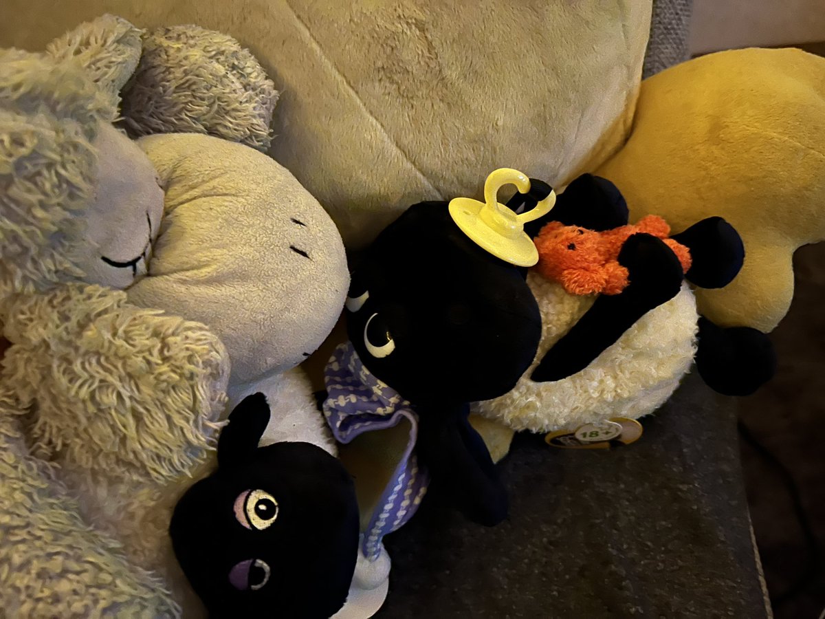 Schaf_emily's tweet photo. Tux; da lag ein 🐑 vor unser Tür.
Timmy: @nopcgst hat gesagt hier is es toll und flauschig und alle leicht verrückt 🤭🤭
Tux: 🤔 er könnte recht haben https://t.co/hOE25wQ1Sc