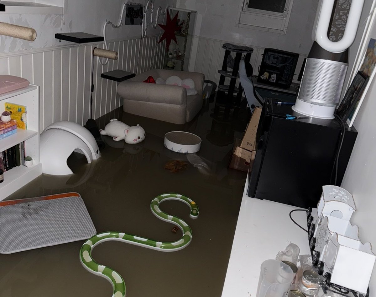 If you were wondering where I’ve been… This is why🌊
Coming back soon!