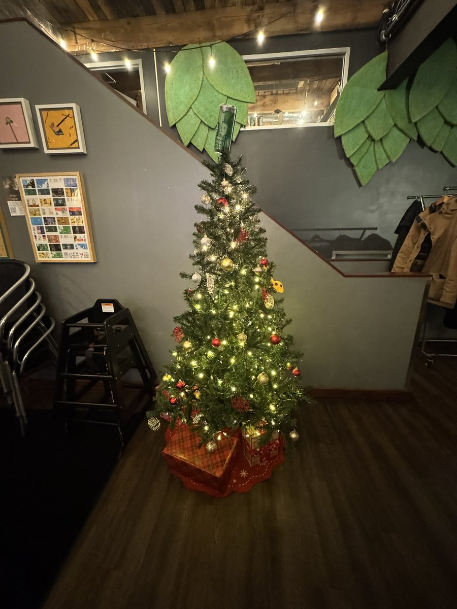 Denise Polverine Manoloff tweet media