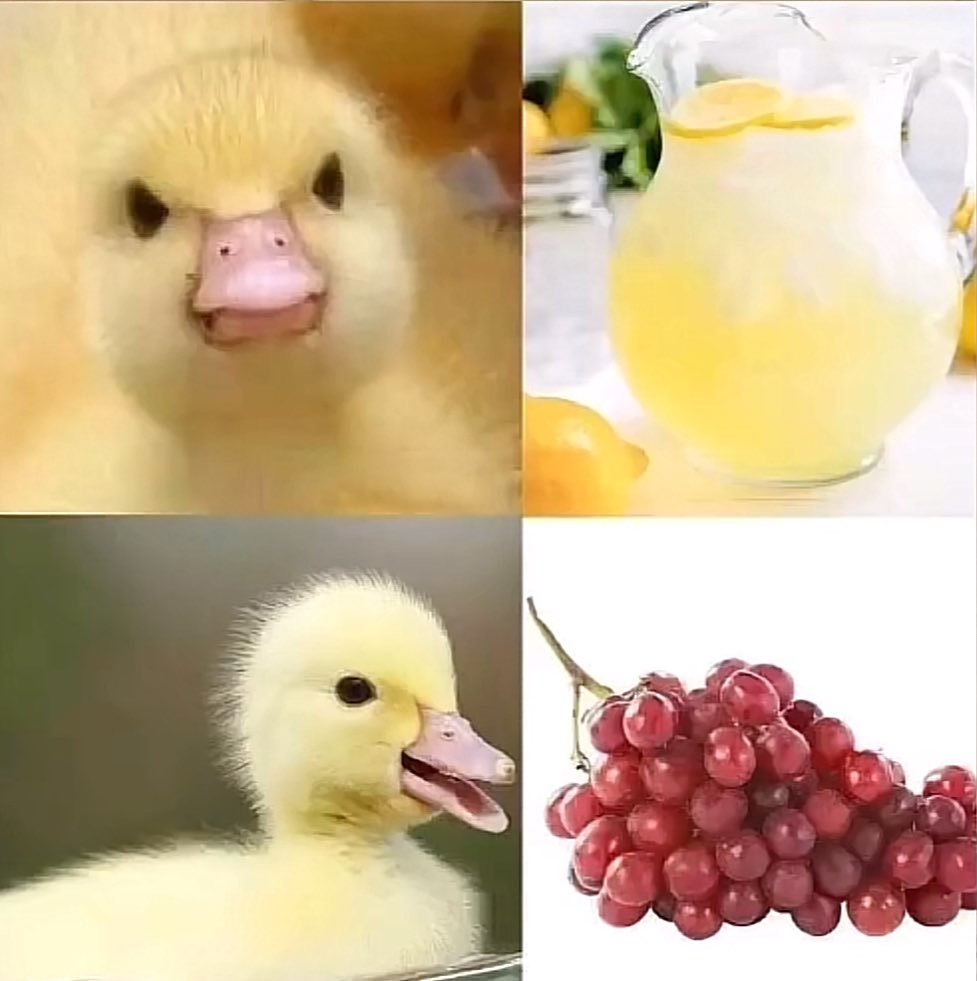 ducksolcto's tweet photo. People born in the late 1990s-mid 2000s will get this $DUCK meme https://t.co/0B0r6NqI1a