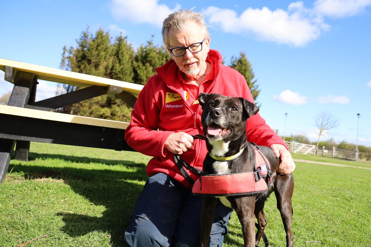 DT_Leeds's tweet photo. 📣🏆 Show your appreciation for our team through the 2025 @PetplanUK & #ADCH #AnimalCharity Awards!
If you know of a member of our staff or a volunteer who has gone the extra mile in caring for our dogs, you can nominate them here 👉 https://t.co/oaAqT8MKbf
@DogsTrust https://t.co/rn9NAY60rH