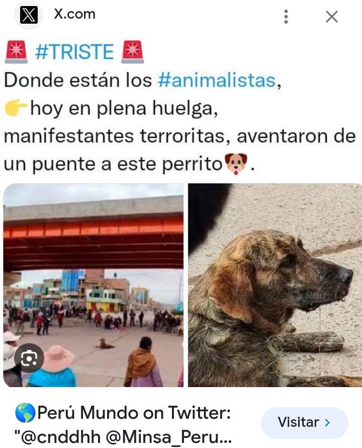 Joel Villanueva Diaz tweet media