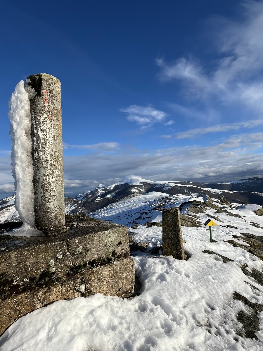Arratsalde pasa 🏔️ ❄️ 🐶