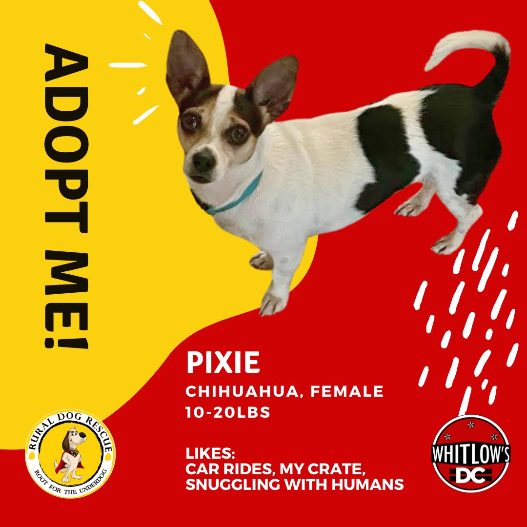 Whitlow's tweet media