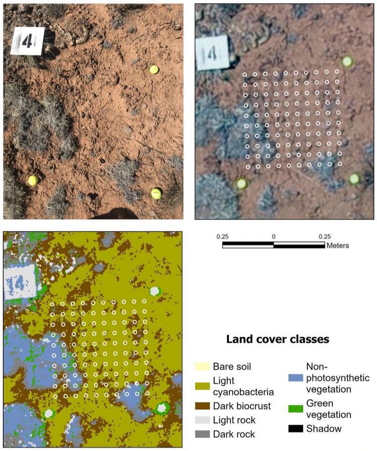 New #UAS publication &amp; data release coauthored by Miguel Villarreal of the USGS Western Geographic Science Center (<a href="/USGS_WGSC/">Western Geographic Science Center</a>)! Exploring soil cover heterogeneity associated with biocrusts predicts patch-level plant diversity patterns: 

link.springer.com/article/10.100…