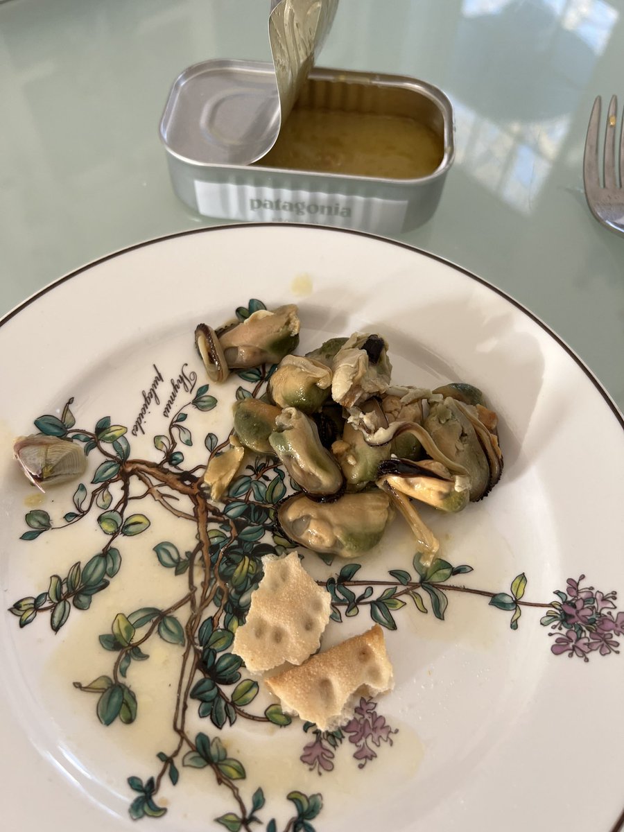 Sofia Sondervan tweet media