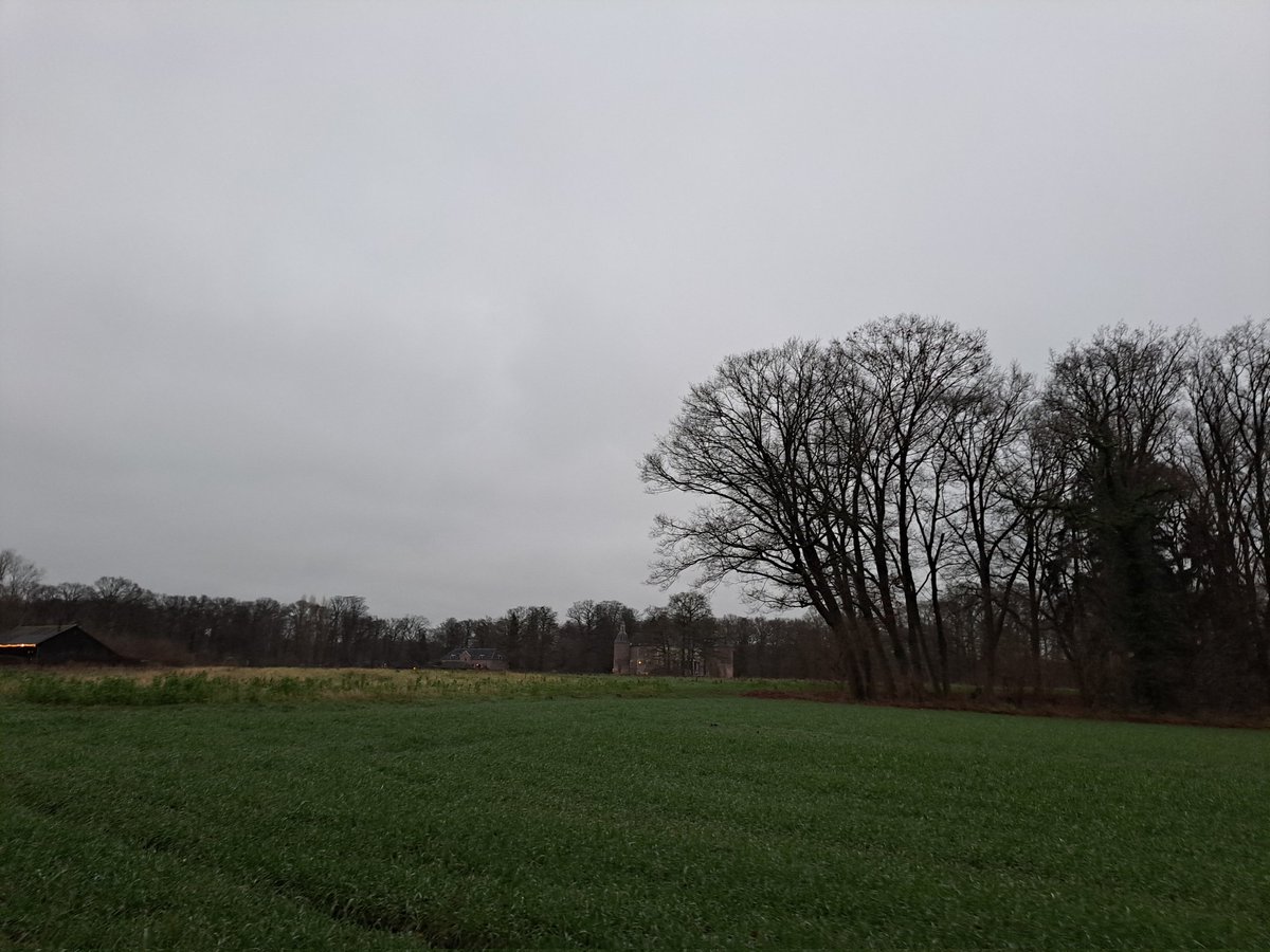 LCSEA's tweet image. Afsluiting van het jaar op #KasteelHackhort #Natuurmonumenten 
Fijne mensen, mooie middag 💚