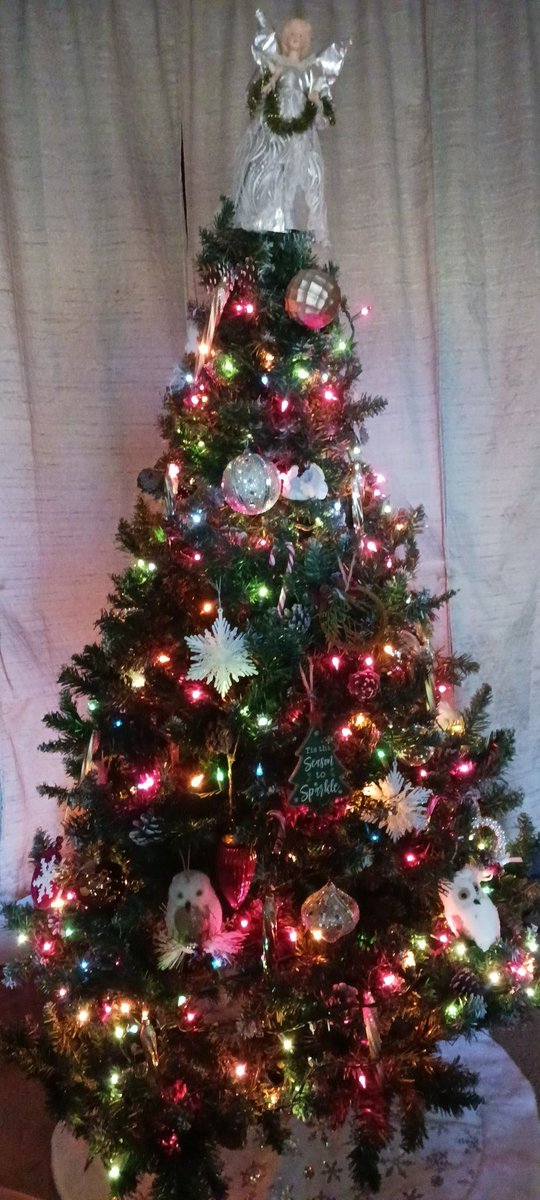 Got our Christmas tree up and loving it ❤️🎄🥰 #thursdayvibes