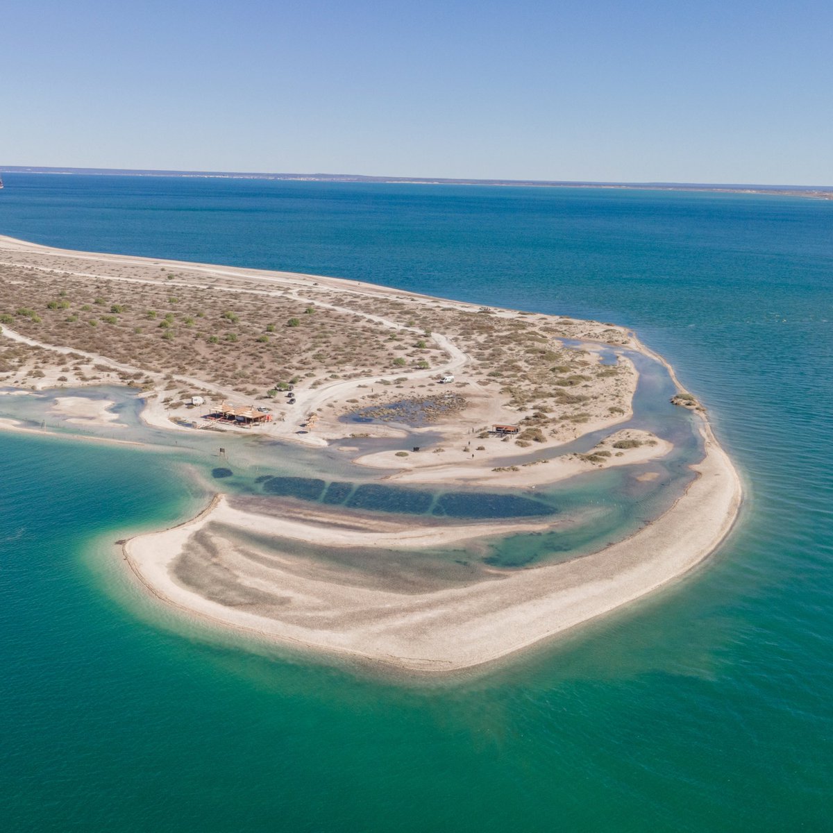 Recordatorio: tenemos muchos km de costa atlántica 🏖️ no vaya siempre a las mismas playas en enero...