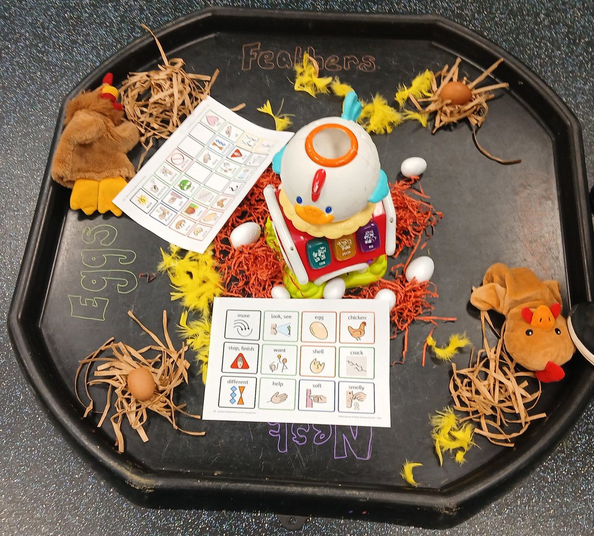 rit_therapy's tweet photo. Our trust therapy assistants have been doing some fantastic collaborative practice. This set up was for a Speech and Language and Occupational Therapy Session. The children worked on transitioning, social and fine motor skills and using the communication boards. Great session. 😃 https://t.co/7hDlpDA8Yh