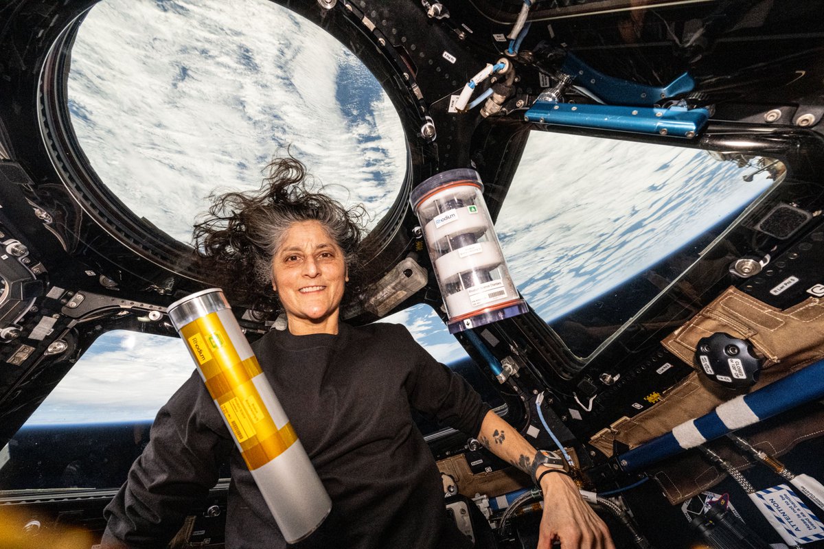 NASA Science tweet media