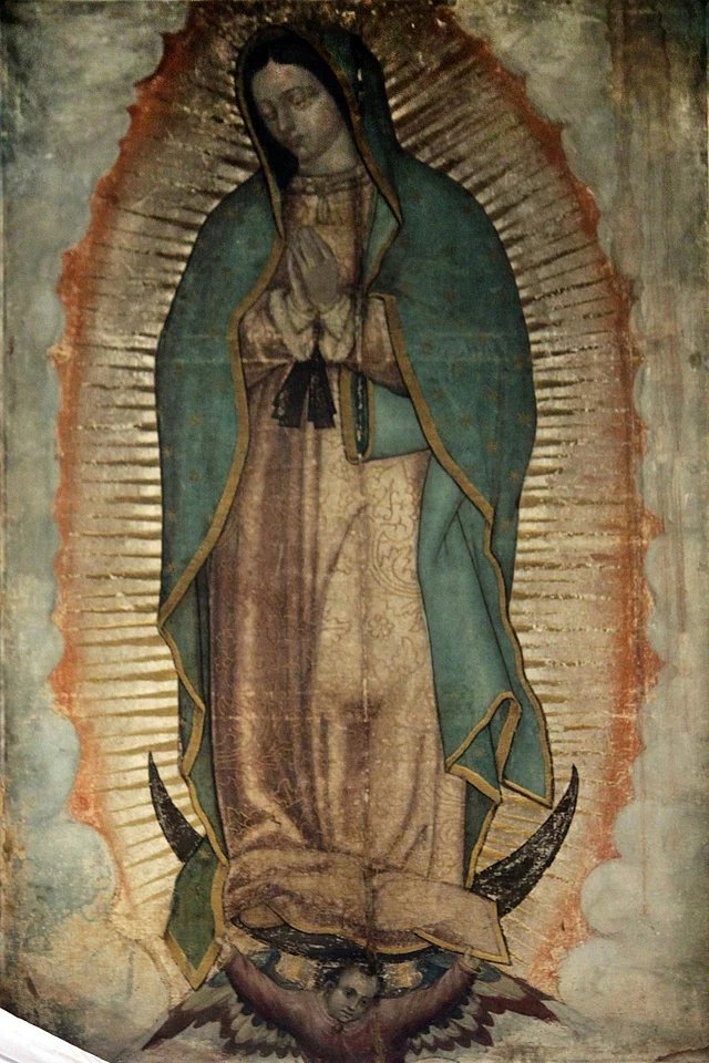 ConservNacio's tweet photo. ¡FELIZ DÍA A LA MADRE DE TODOS LOS MEXICANOS!
¡VIVA MÉXICO LIBRE!
#PCNM https://t.co/Va9vwzz4yS