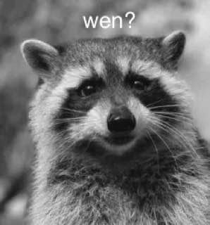 FRED_CTO_SOL's tweet photo. @CoinbaseAssets Wen? 🦝 https://t.co/FCTB7imeiL