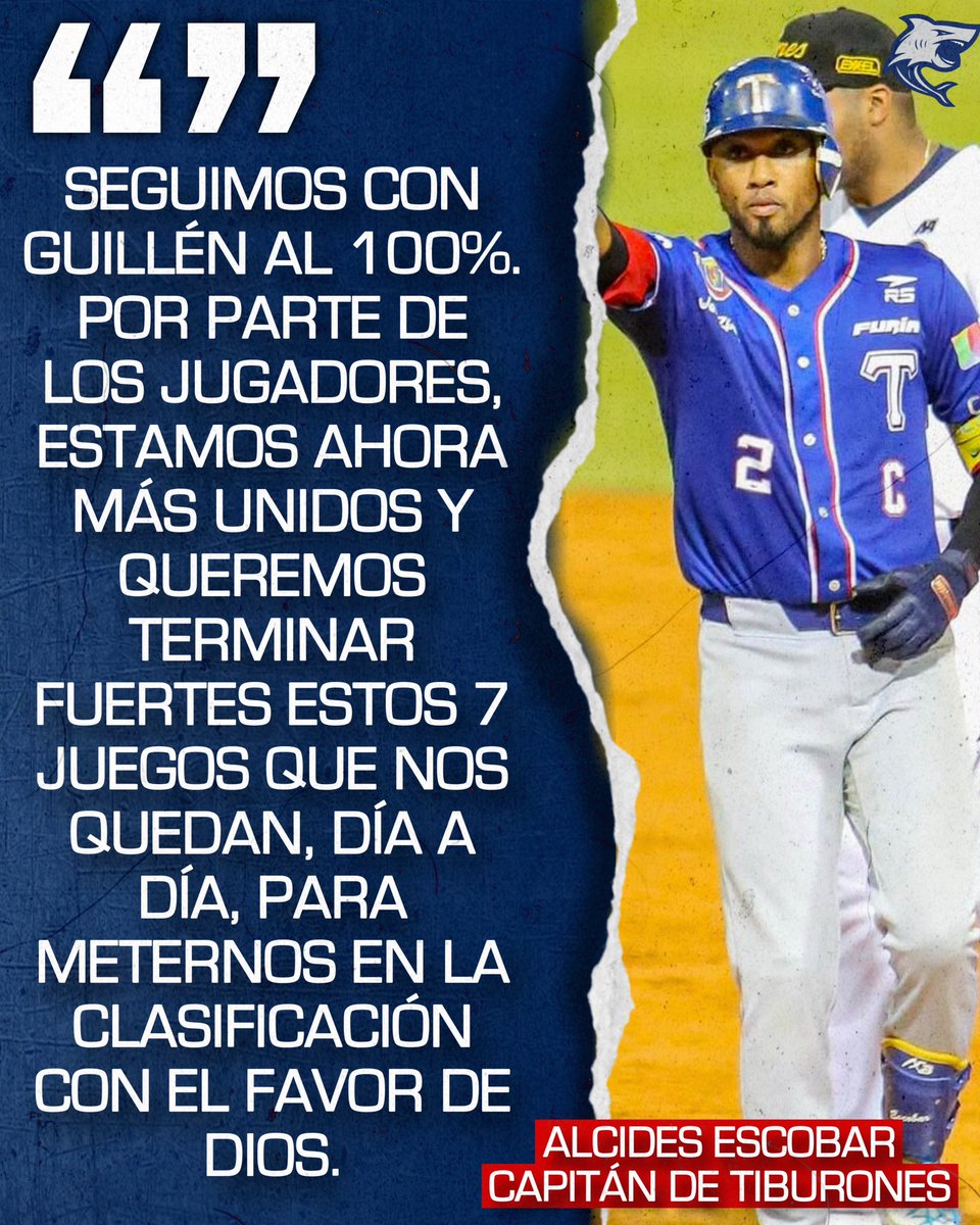 Tiburones Report tweet media