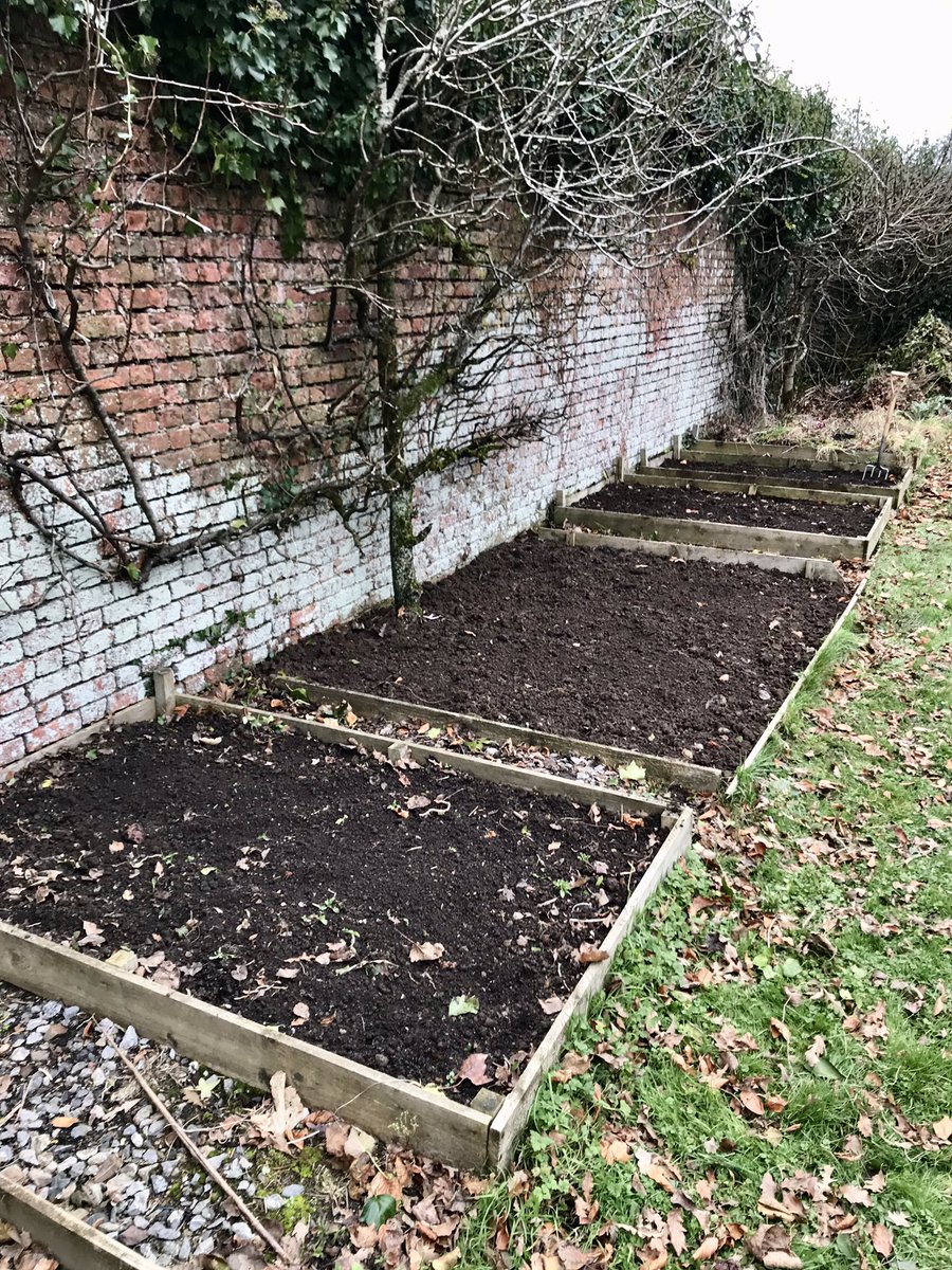 keithtesterliv1's tweet photo. A dull and dank day here at the Manor House. Got some more winter digging done on the side beds which warmed me up! Broad beans have poked through. #manorhouse #walledgarden #winterdigging #vegetablebeds #broadbeans https://t.co/swVWGV6hNz