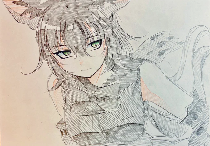 #これを見た人は去年の12月の画像を貼る 