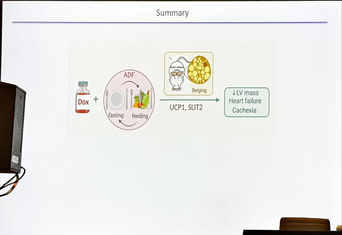 Dr. Martha Gulati ♥️🫀❤️🩹🇨🇦 (@drmarthagulati) on Twitter photo <a href="/Alicardsdoc/">Ali Javaheri</a> presenting at #ConnHeart <a href="/MidAmericaHeart/">Saint Luke's Mid America Heart Institute</a>
🫀Fasting & chemo Tx: Good 🆚 bad
🫀 Doxycycline ⤵️ heart mass
🫀 fasting animal🐁 getting chemo died & ⤵️ body weight/ 🫀⤵️ EF
🫀⤵️ LV mass in humans an issue too
🫀fasting seems toxic for chemo but what if high fat diet? <a href="/Alicardsdoc/">Ali Javaheri</a> presenting at #ConnHeart <a href="/MidAmericaHeart/">Saint Luke's Mid America Heart Institute</a>
🫀Fasting & chemo Tx: Good 🆚 bad
🫀 Doxycycline ⤵️ heart mass
🫀 fasting animal🐁 getting chemo died & ⤵️ body weight/ 🫀⤵️ EF
🫀⤵️ LV mass in humans an issue too
🫀fasting seems toxic for chemo but what if high fat diet?