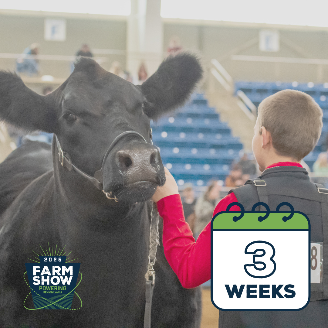 FarmShowComplex's tweet photo. Get ready! The 2025 Pennsylvania Farm Show is just 3 weeks away!
⭐ January 4-11
Important info to know: https://t.co/wXNbYf3w1G
Visitor's Guide: https://t.co/yfjdhOXwEs
#PAFS2025 #PAFarmShow #PoweringPennsylvania 💡🚜 https://t.co/cNC7EFNL83