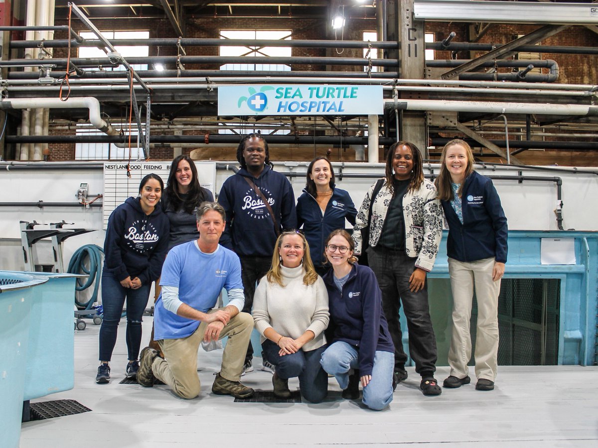 NEAQ's tweet photo. Last month, @MCAF_NEAQ welcomed three program leaders to Boston for a week of conservation, collaboration, and education! 🐢🌍

We were joined by Veta Wade (@fishnfinskids, Montserrat), Ani Henriquez (ProCosta El Salvador), and Francklin Barbier (@HaitiOceanP).

#MCAF https://t.co/LngArpIvMC