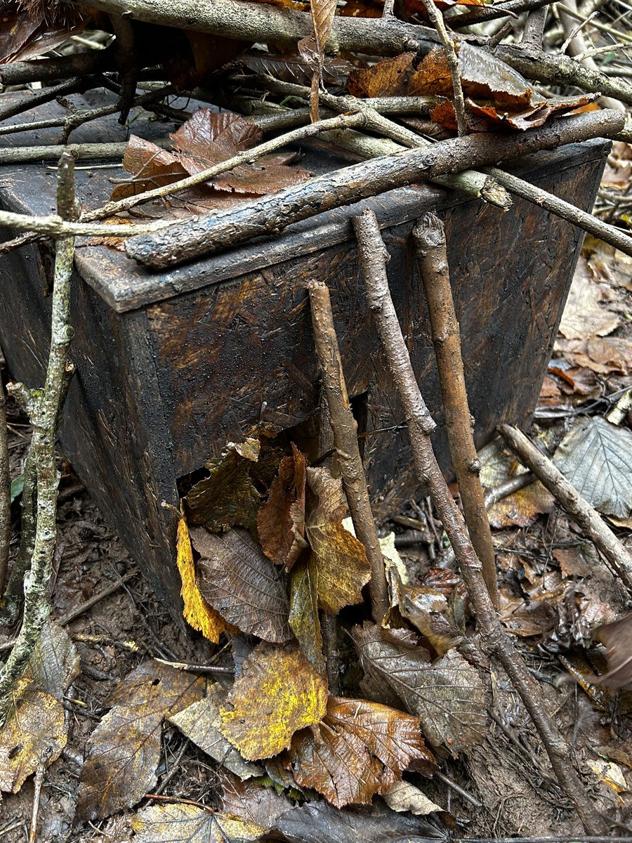 Monnow Primary School tweet media