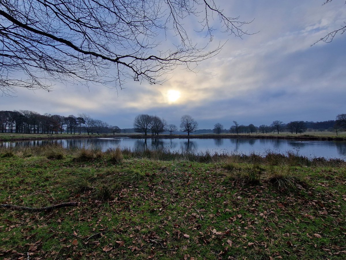 Adam Ingleton tweet media