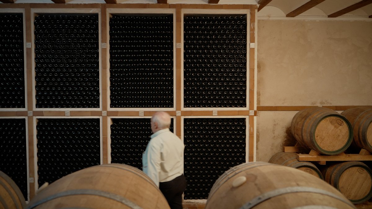 VisitaTomelloso's tweet photo. Tomelloso es sinónimo de vino. Sus bodegas centenarias elaboran vinos de alta calidad que han conquistado paladares de todo el mundo. Recorre las instalaciones, descubre los secretos de la elaboración del vino https://t.co/gaJCMuvpdn