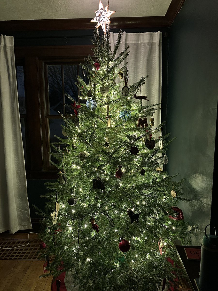 Melissa Shugarman tweet media