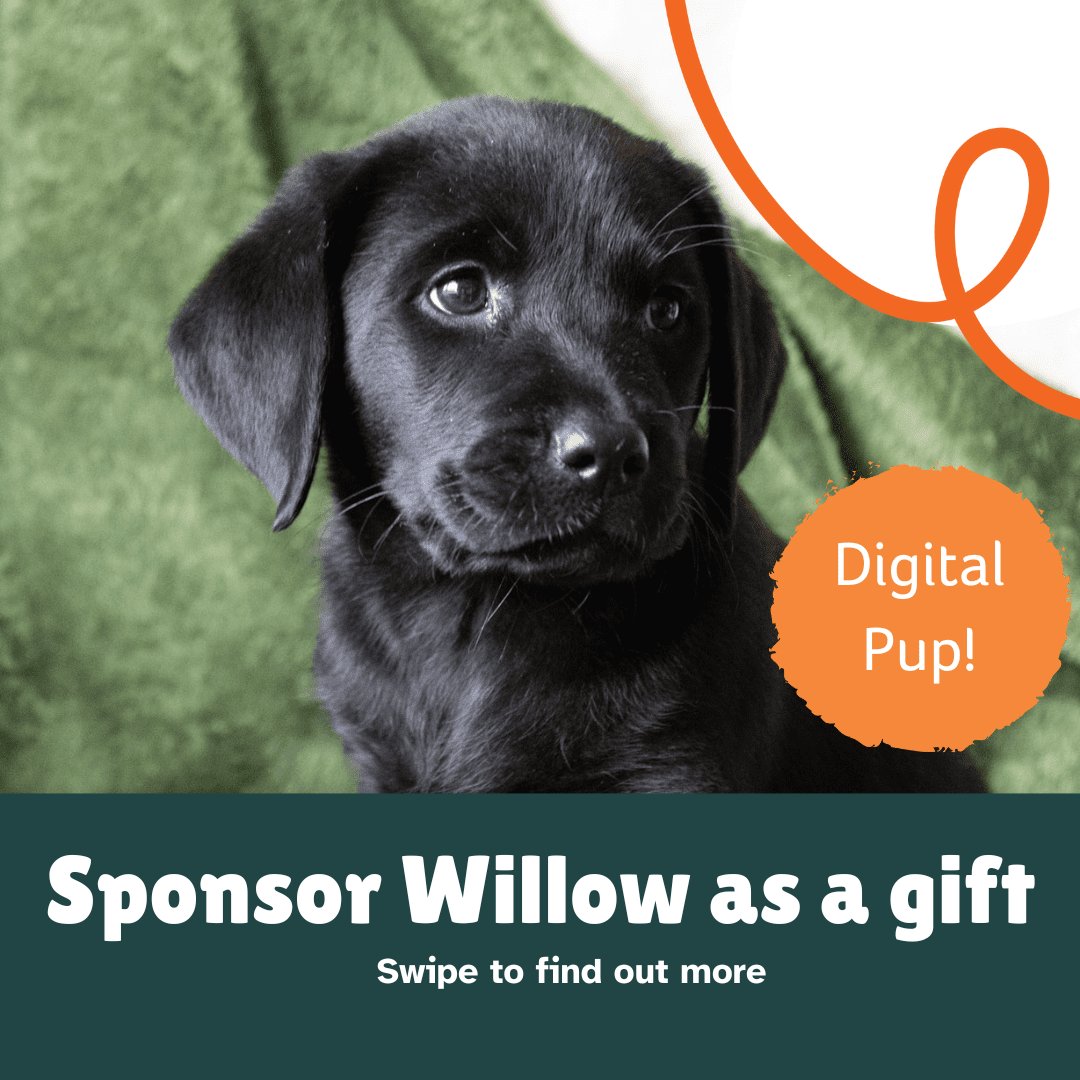 Dogs for Good tweet media