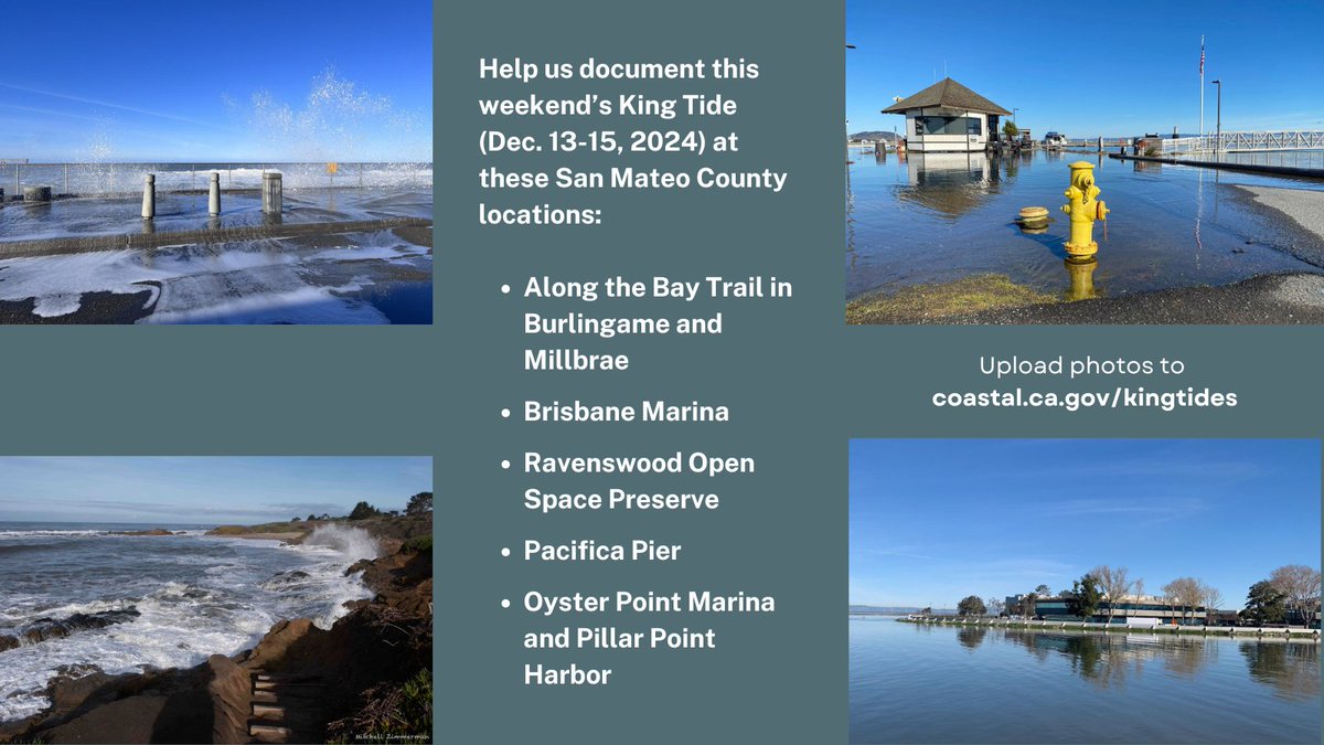 OneShoreline tweet media