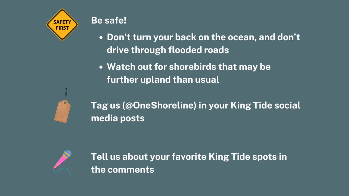 OneShoreline tweet media