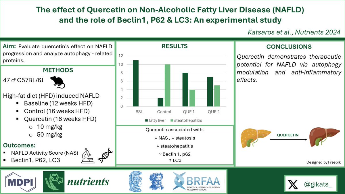 📢 Excited to share our latest research published in <a href="/Nutrients_MDPI/">Nutrients MDPI</a>!
Our study highlights Quercetin's potential against #NAFLD, a global health challenge.

🔗 Read more: mdpi.com/2072-6643/16/2…

#MASLD #FattyLiver #Autophagy #LiverHealth

🔗 Read more: mdpi.com/2072-6643/16/2…