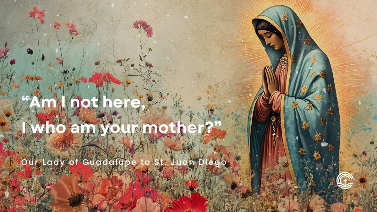 California Catholic Conference tweet media