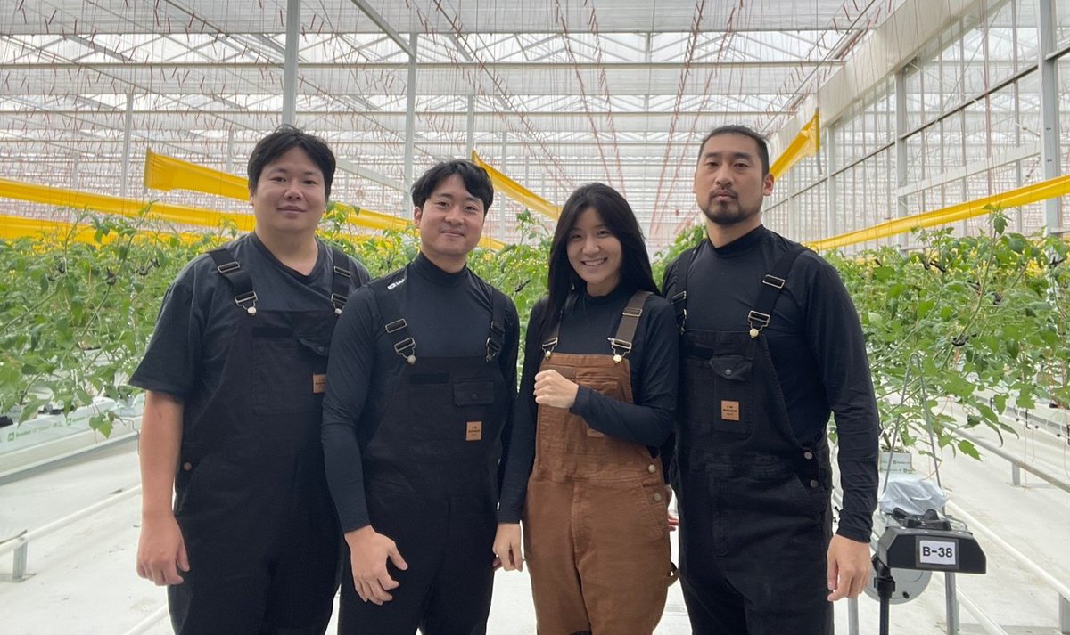 12/14(토) 오후 5시~
📍여의도KBS 스타벅스 보라색 현수막
🍅선결제 아니지만 직접재배한 방울토마토 1500인분
<레드히어로즈>라고 말씀주시고 받아가세요~

'농부'도 도저히 지켜볼 수 없어 이번주 토마토 전량 수확해서 뛰쳐나갑니다!(거의~~농민봉기)
든든한 식사 후 과일드시러 오세요~