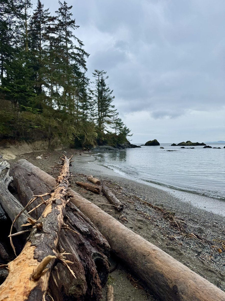 AbeliReviews's tweet photo. Love a good PNW day! #deceptionpassstatepark #rosariobeach #optoutside #pnwwonderland #washingtonbeaches #exploremore #washingtonexplored https://t.co/4c7mzeQbf8