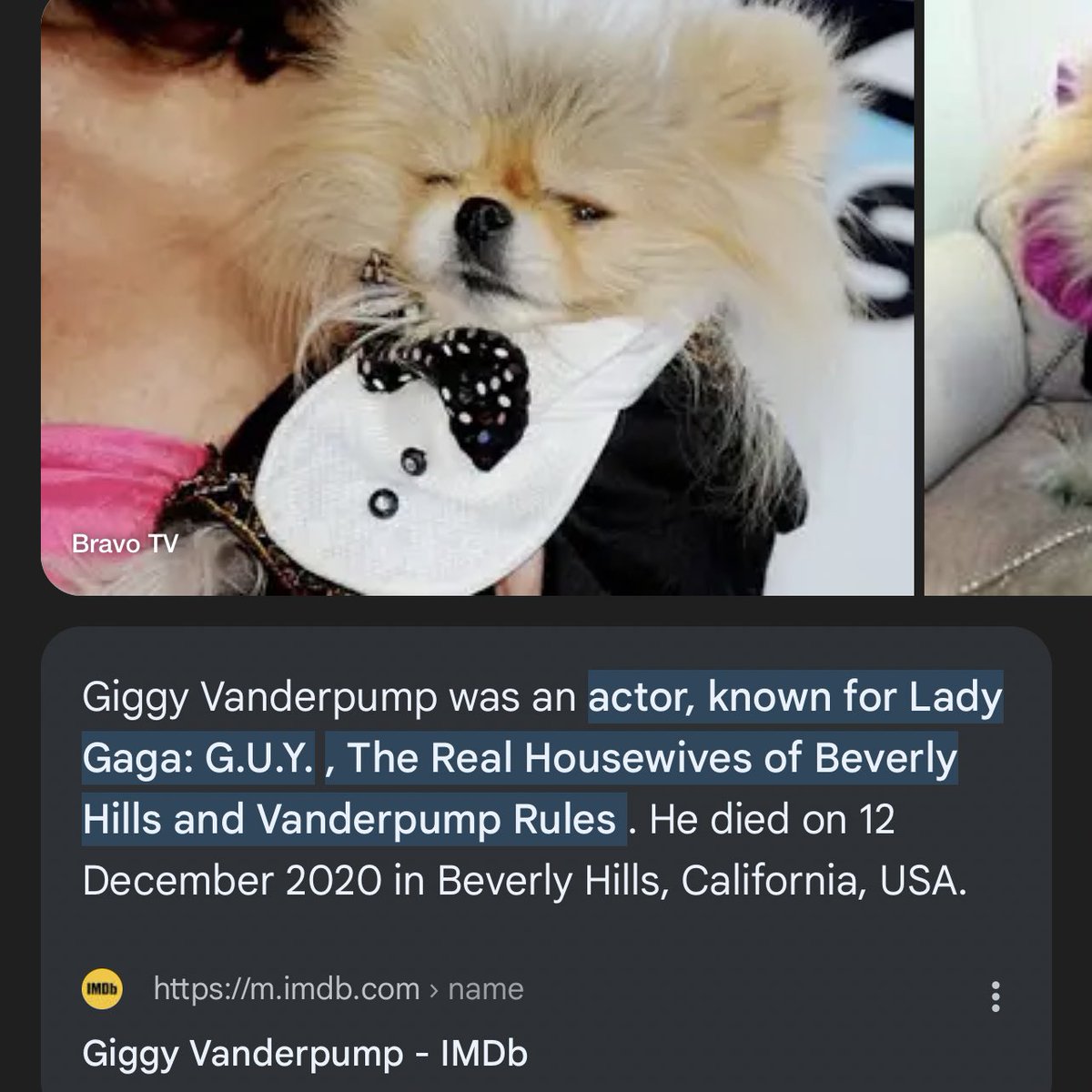 4 years ago the legendary giggy vanderpump passed away 💔