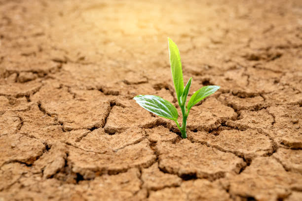 AbelSamuel123's tweet photo. "Every big dream starts with small steps. Keep pushing, even when it feels hard. One day, you'll look back and thank yourself for not giving up. 🌱 #KeepGoing"
#Nevergiveup #GodIsGood #ZenDev #cybersecurity https://t.co/oCOCn84NKY