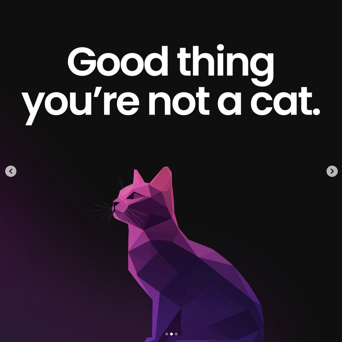 Sierra Six Media tweet media