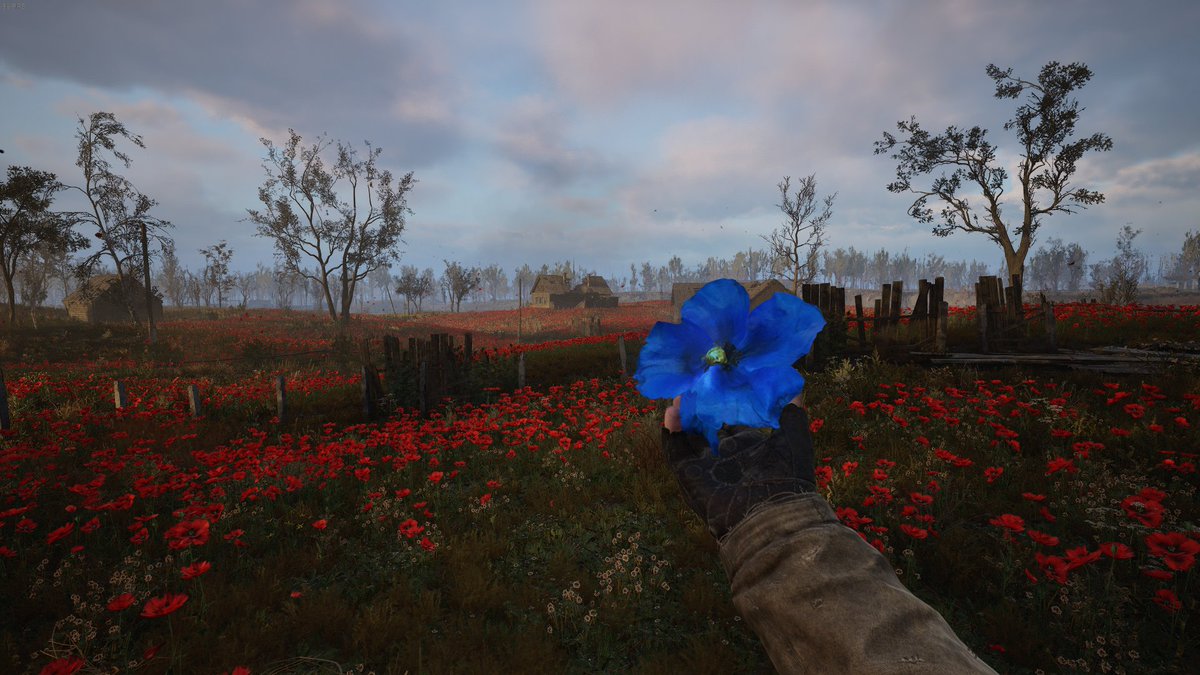 SignorTekken's tweet photo. Finished Stalker 2. The level of love the devs clearly show for the series is incredible. It's so much of what I wanted a new Stalker game to be. https://t.co/NhOfq9aAWv