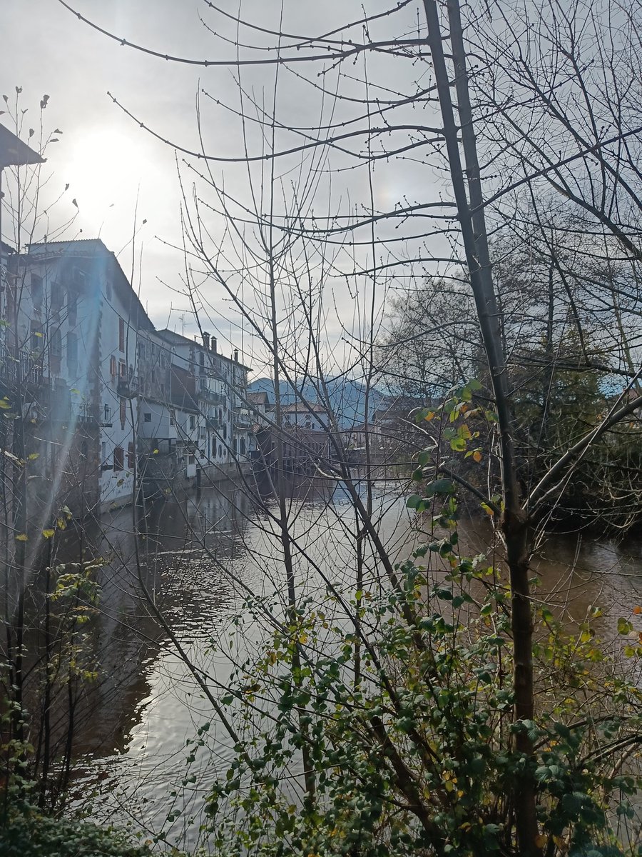 NRF2LabIIBm tweet media