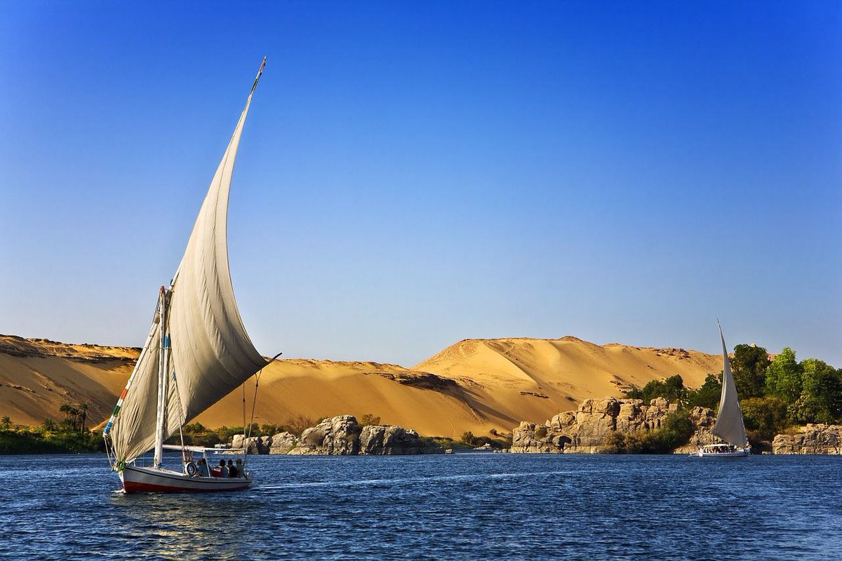 mahmoudtaha611's tweet photo. في مصر، كل حجر يحمل قصة، وكل نهر ينبض بالحياة. 

In Egypt, every stone tells a story, and every river pulses with life.

#Golden_Egypt
#SEP
#EPSF https://t.co/GaA0qWFbn2
