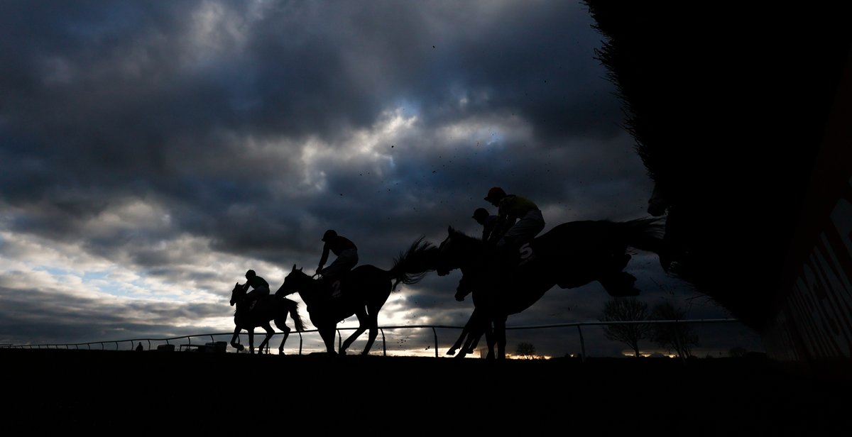 Swipe to see the silhouette in motion😍➡️

#actionshots #wincantonracecourse #bestviews